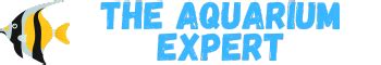 How to Add New Fish to an Existing Aquarium: Best Practices for .